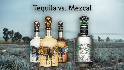 Tequila vs. Mezcal - what's the difference?